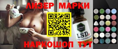 прущие грибы Кандалакша