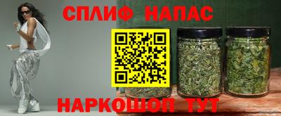 прущие грибы Кандалакша