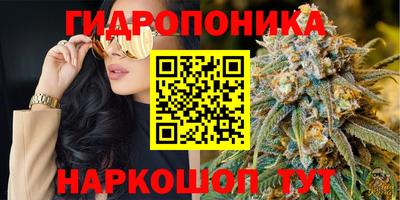 прущие крисы Камышлов