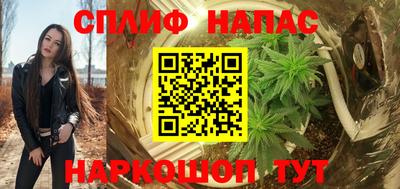 прущие грибы Кандалакша