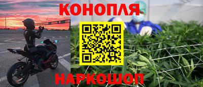 прущие грибы Кандалакша