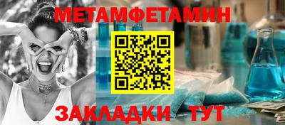 прущие грибы Кандалакша