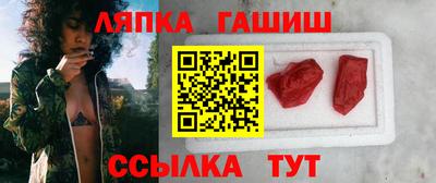 прущие грибы Кандалакша