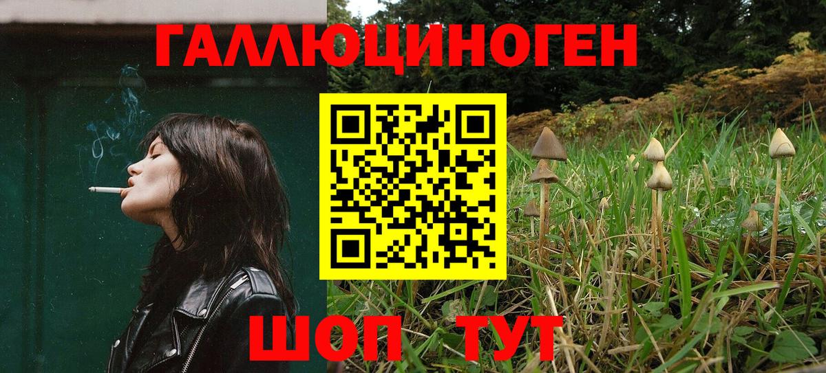 Галлюциногенные грибы Psilocybe Красноуфимск